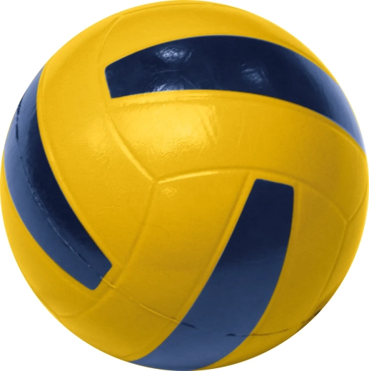 Skin-Coated Volleyball