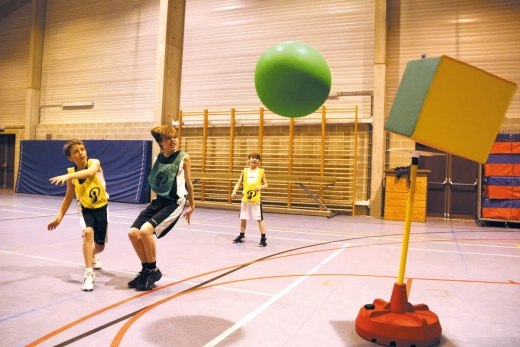 Poull Ball Original Set