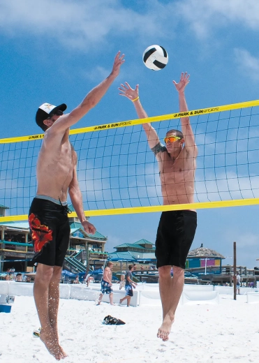 Spectrum 2000 Volleyball Net System
