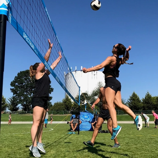 Beach-Volleyball Netzanlage Spectrum Classic