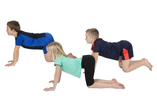 PedaYoga Teacher Pose Sheets
