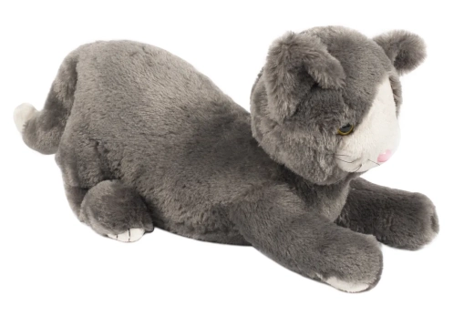 Weighted Cat