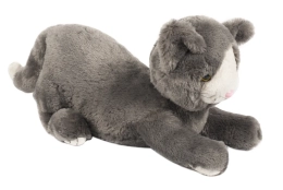 Weighted Cat