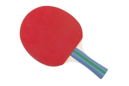 Raquette de tennis de table Megaform Gold